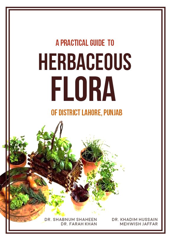 Cover of A Practical Guide  To Herbaceous Flora  Of District Lahore, Punjab