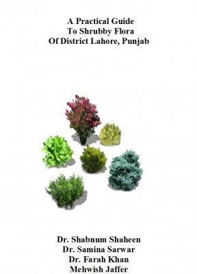 Cover of A Practical Guide  To Shrubby Flora  Of District Lahore, Punjab