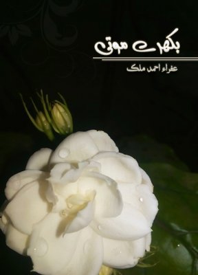 Cover of بکهرے موتی