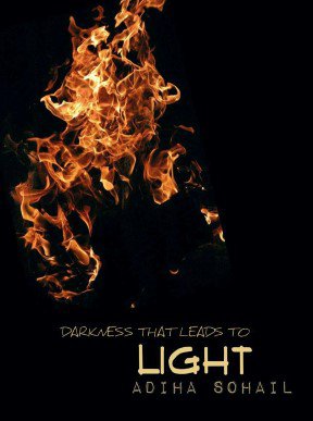 Cover of Darkness That Leads To Light
