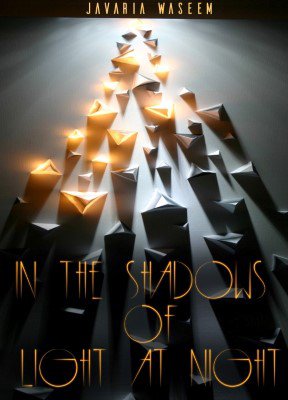 In the Shadows of Light at Night 