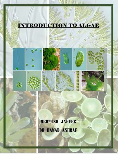 Introduction to Algae