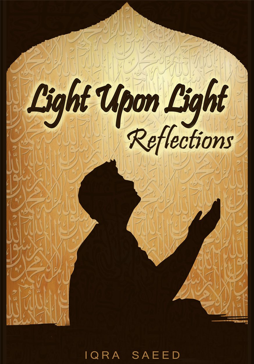 Cover of Light Upon Light- Reflections
