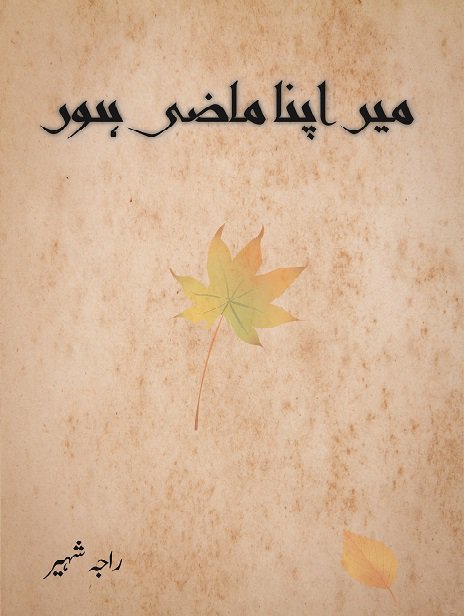 Cover of میں اپنا ماضی ہوں
