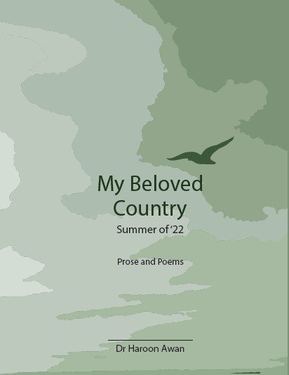 Cover of My Beloved Country - Summer of '22