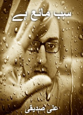 Cover of سب مائع ہے