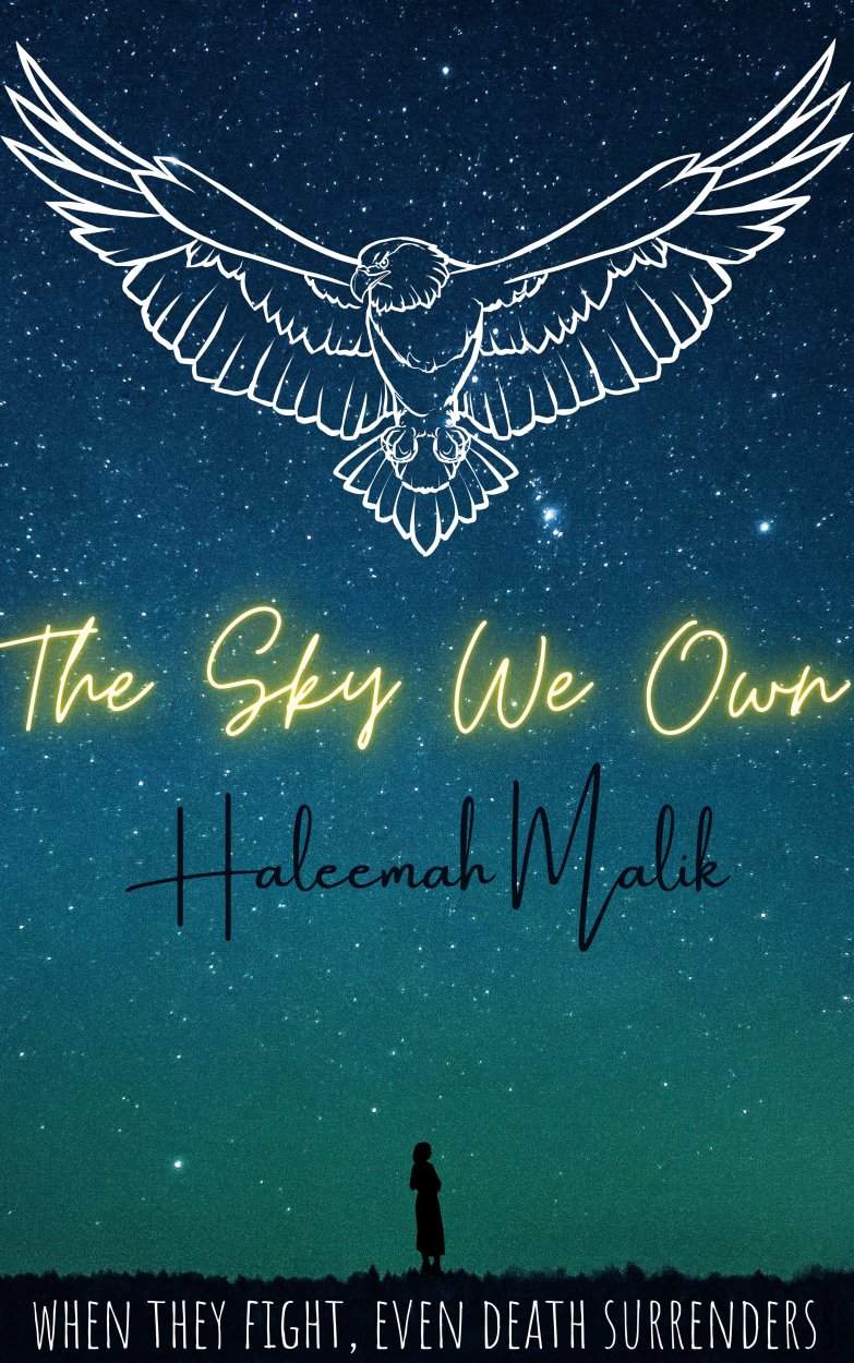 The Sky We Own