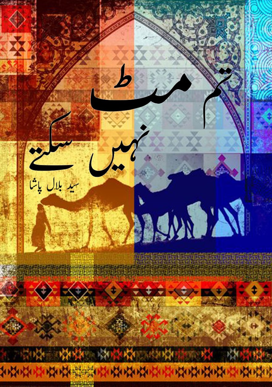 Cover of تم مٹ نہیں سکتے