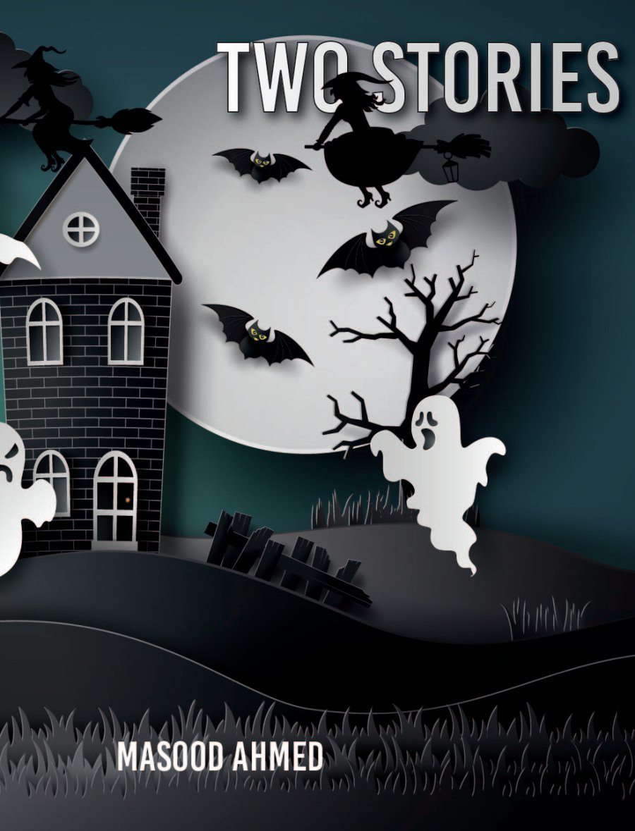 Cover of Two Stories
