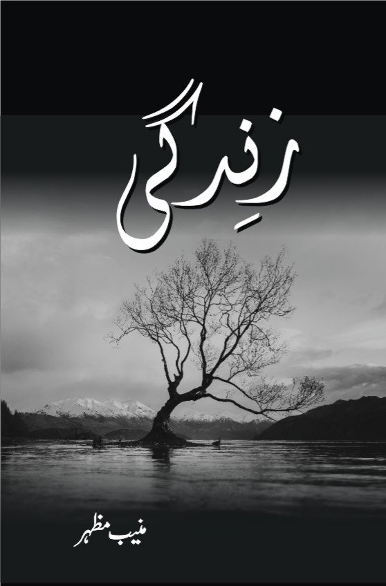 Cover of زندگی / Zindagi - Novel About Loneliness and True Love