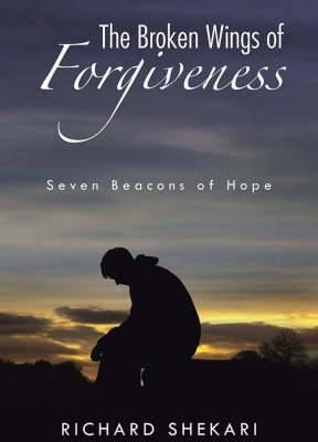 The Broken Wings of Forgiveness Cover