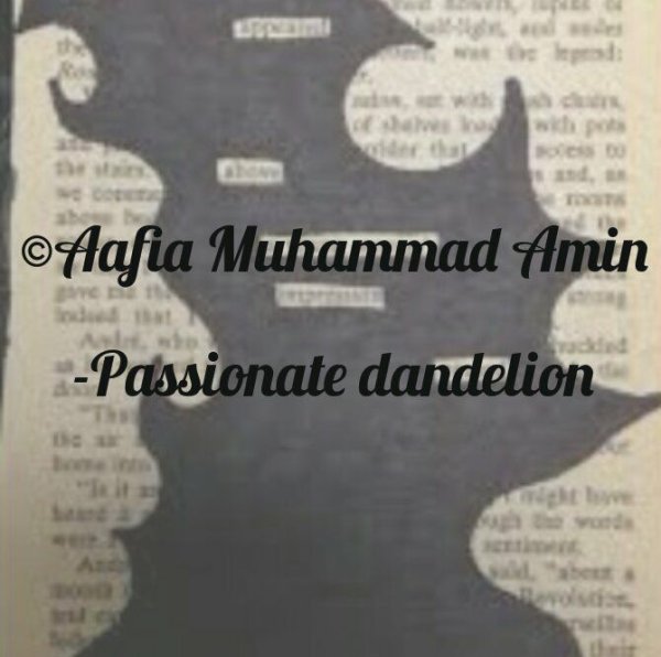 Aafia Muhammad Amin